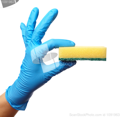 Image of Hand in glove holding washing sponge