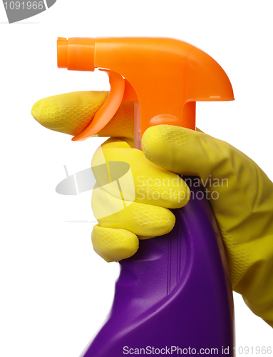 Image of Hand holds sprayer with chemical cleaner