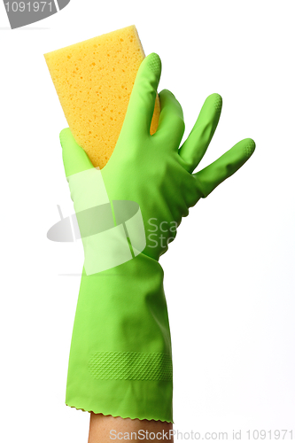 Image of Hand in glove holding washing sponge