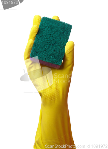 Image of Hand in glove holding washing sponge