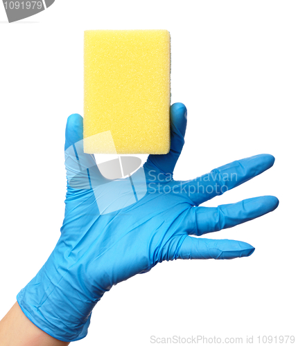 Image of Hand in glove holding washing sponge