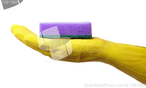 Image of Hand in glove holding washing sponge