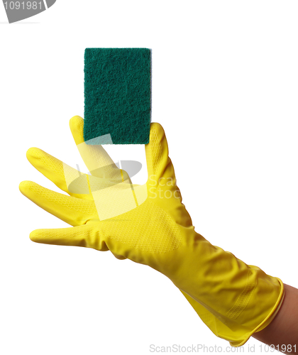 Image of Hand in glove holding washing sponge