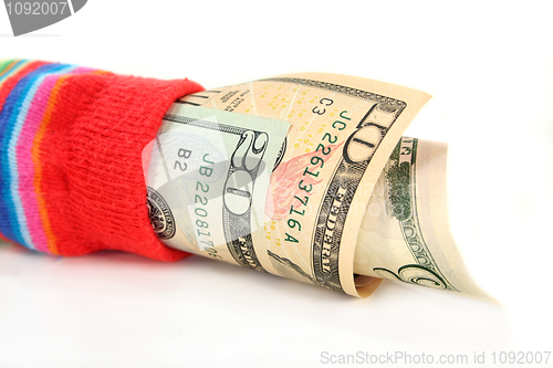 Image of Money sock