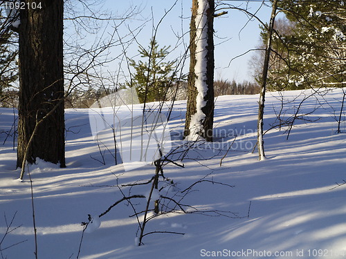 Image of winter landscape