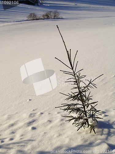 Image of winter landscape