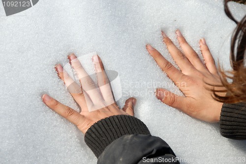 Image of Arms on snow