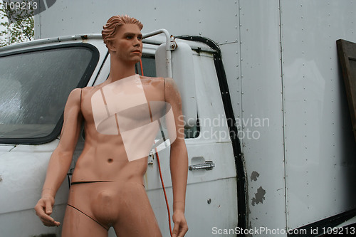 Image of Naked Van Man