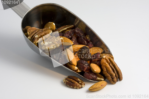 Image of trail mix, scoop of nuts and berries