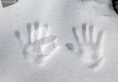 Image of Arms print on snow surface