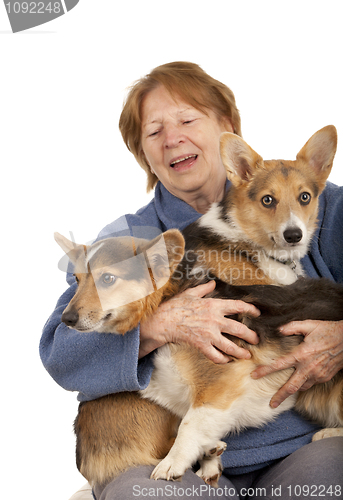 Image of senior lady with her Corgi puppies