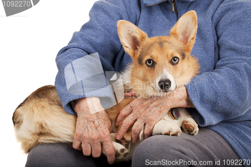 Image of old hands and young puppy