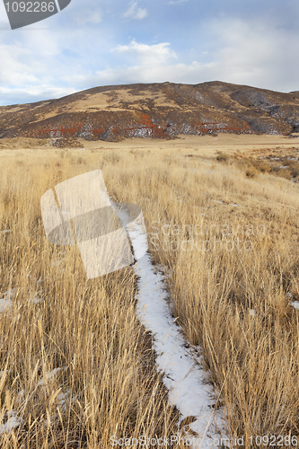 Image of cattle trail in a mountain valley