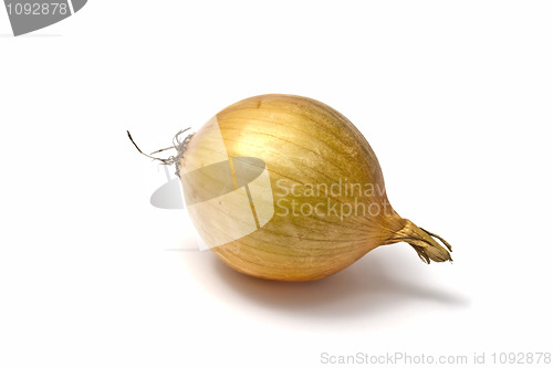 Image of Onion