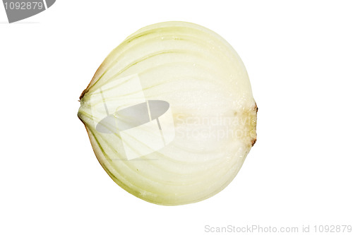 Image of Onion