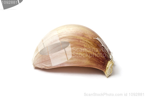 Image of clove of garlic