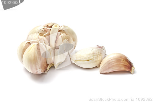 Image of Garlic