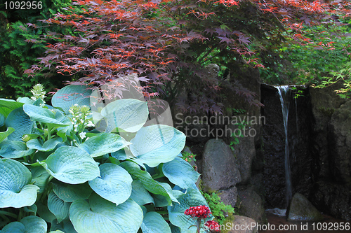 Image of Garden