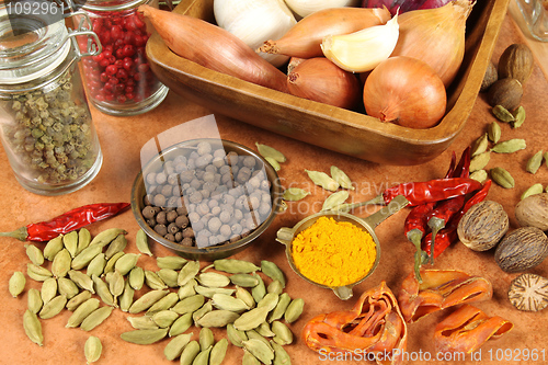 Image of Spices and herbs