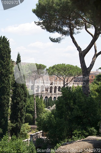 Image of Forum Romanum and Colloseum in Rome