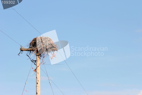 Image of birds nest on pole