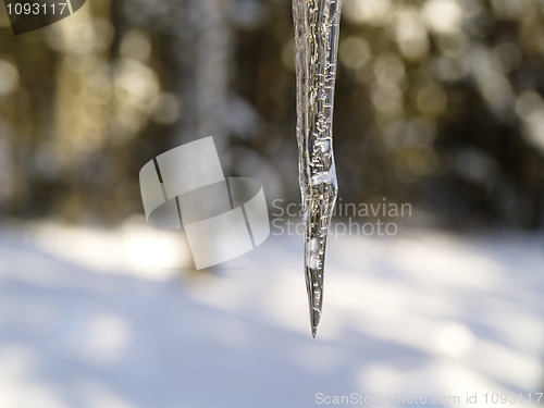 Image of icicle