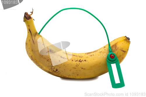 Image of Banana  Transportation