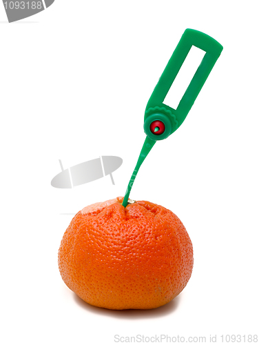 Image of tangerine Transportation