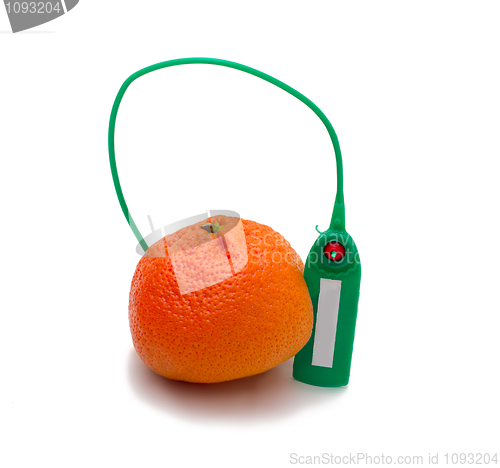 Image of tangerine Transportation