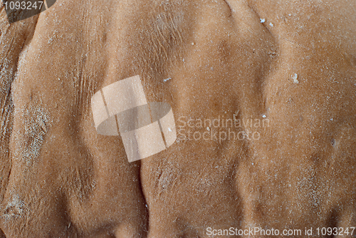 Image of Bread texture 