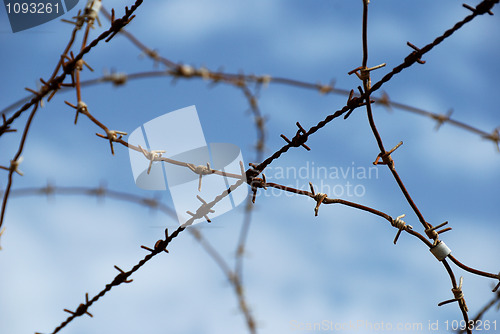 Image of Barbed wire on blue sky background