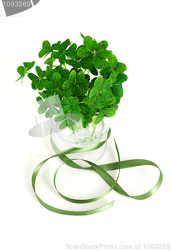 Image of Bouquet of false shamrock with green ribbon