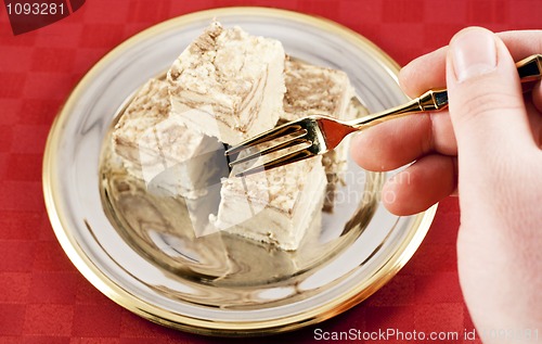Image of Eating Halva