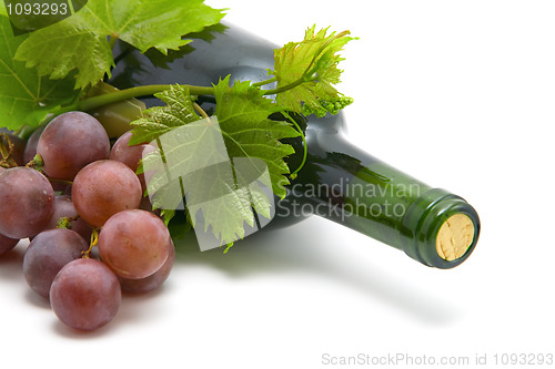 Image of bottle of wine with grape wine leafs and vine