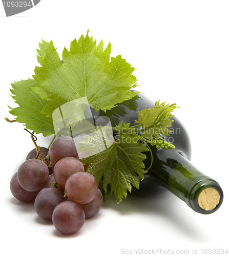 Image of bottle of wine with grape wine leafs and vine