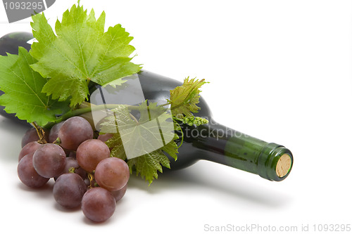 Image of bottle of wine with grape wine leafs and vine
