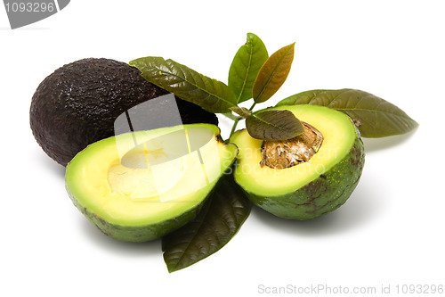 Image of Avocado with leaves on white background 