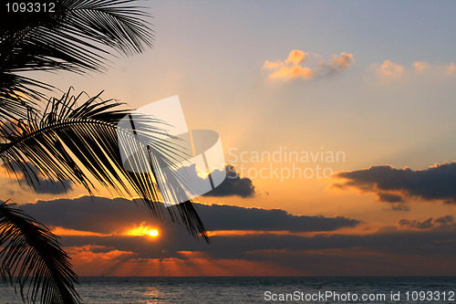 Image of orange sunset on tropical island with palm 