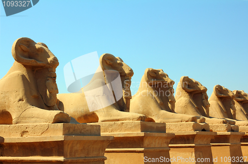 Image of egypt statues of sphinx in karnak temple