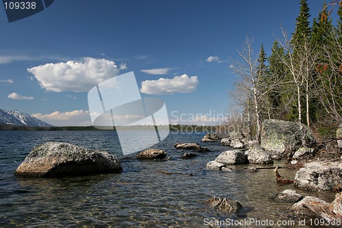 Image of grand teton jenny lake shoreline