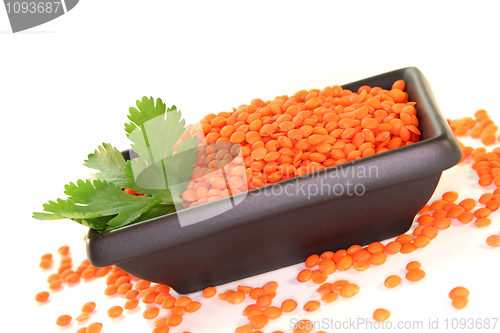 Image of red lentils