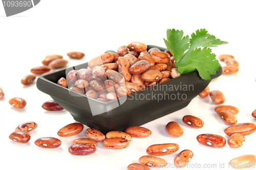 Image of Pinto beans