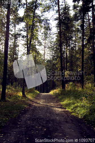 Image of landscape   