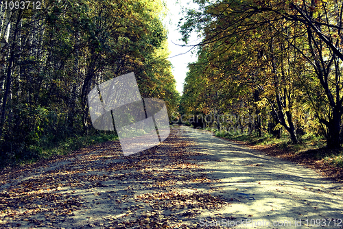 Image of landscape   