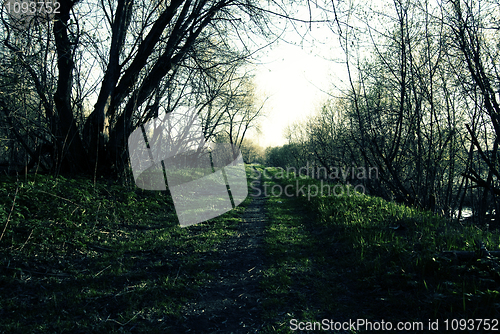Image of landscape   