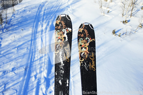 Image of Downhill skiies