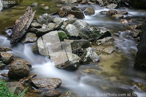 Image of Stream and stones