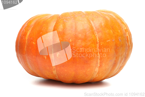 Image of Orange pumpkin 