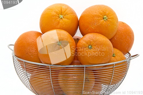 Image of Delicious Florida oranges