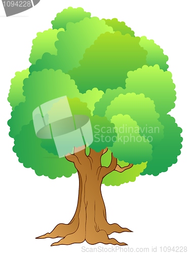 Image of Big tree with green treetop